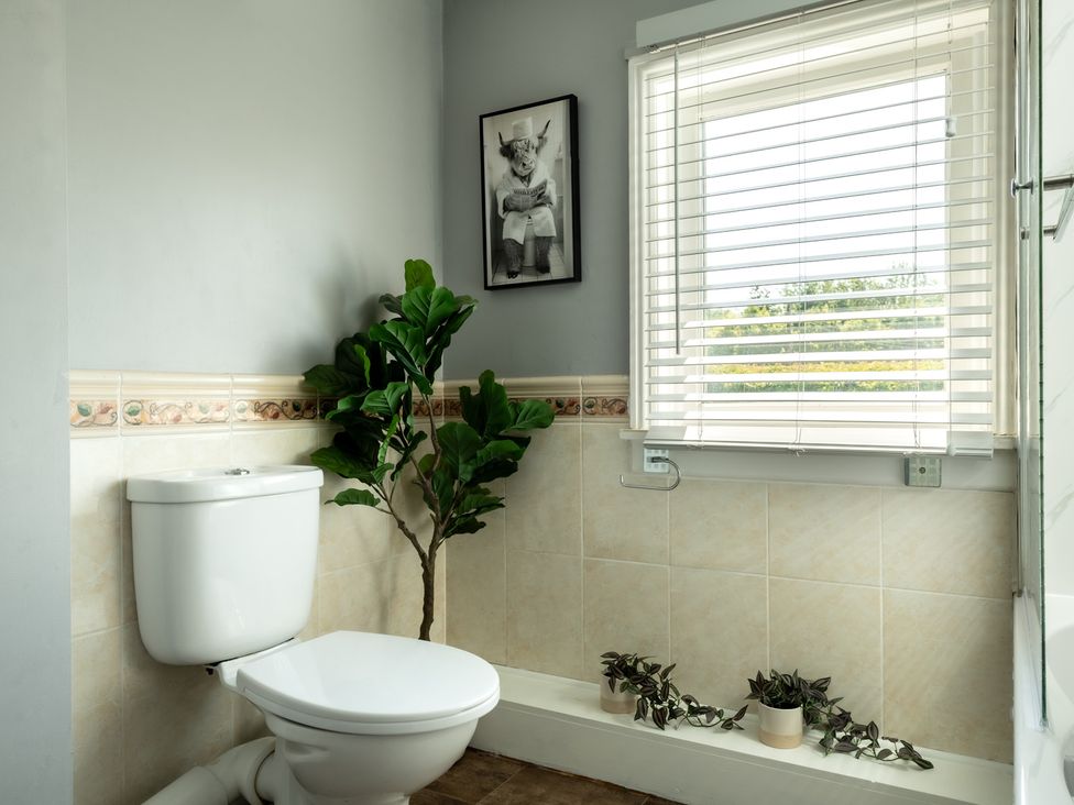 A bathroom with a toilet and a plant at Charming Countryside Cottage in Blandford Forum