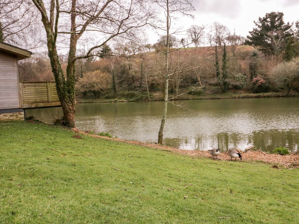 A lakeside view with ducks and trees at 1 Water's Edge