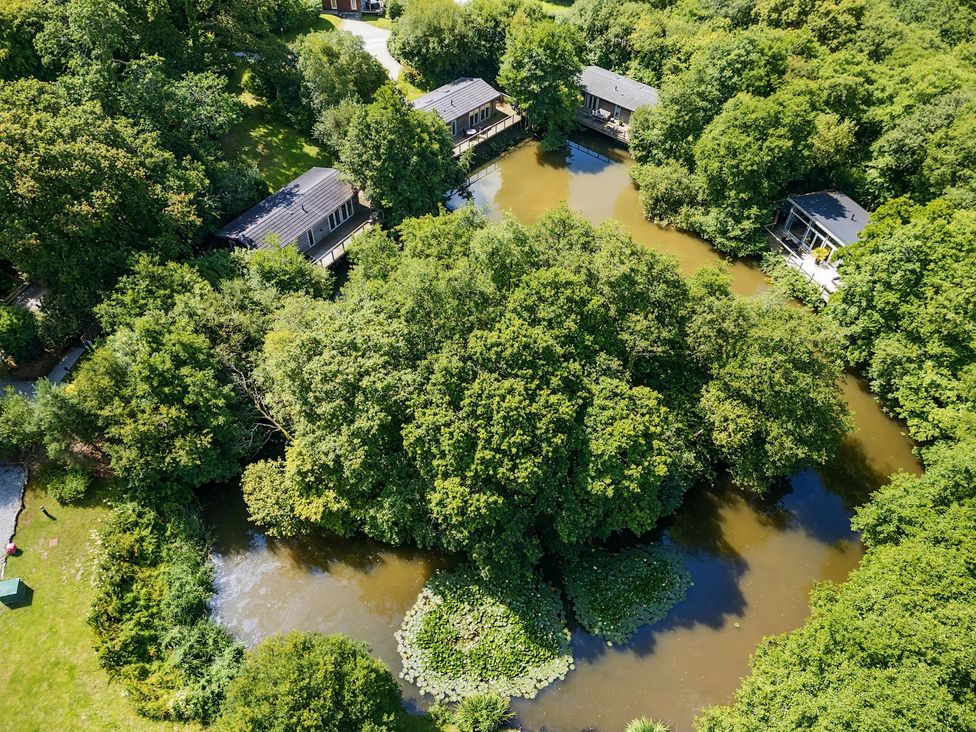 An aerial view of houses surrounded by trees and a water body at 1 Water's Edge