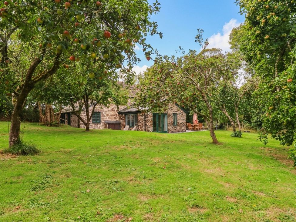 An outdoor area with a house and trees at The Homestead 