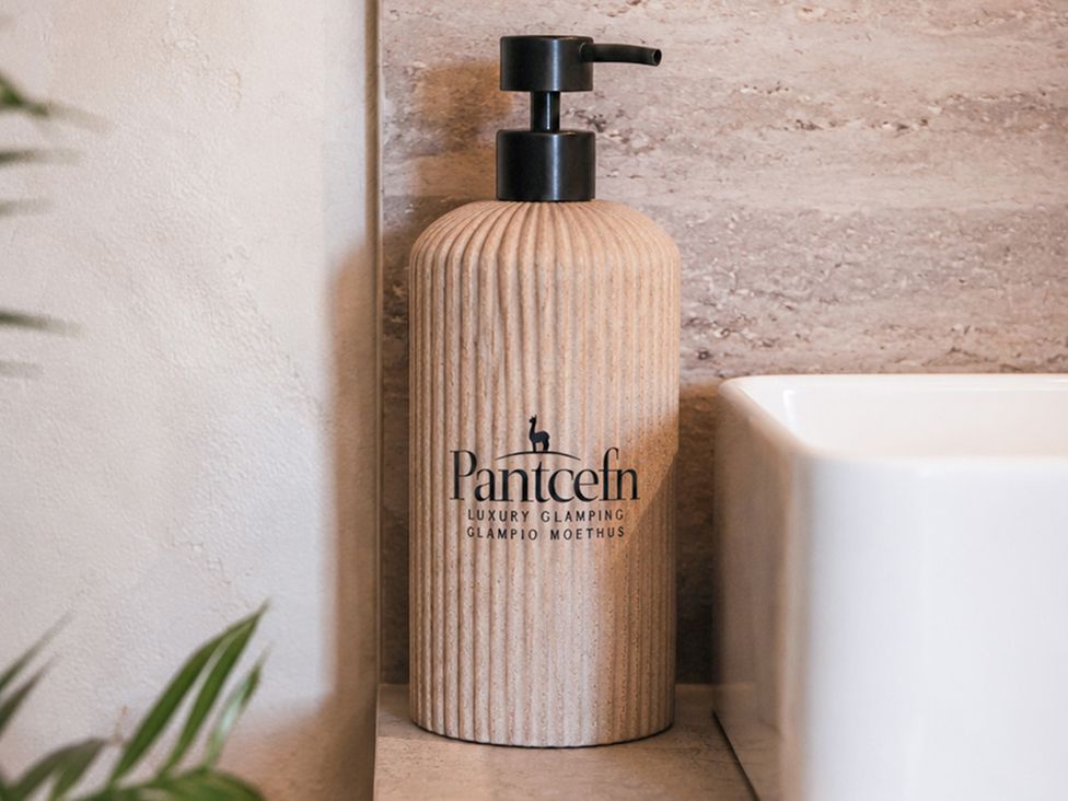 A soap dispenser next to a sink at The Hog Hut in Llanarth