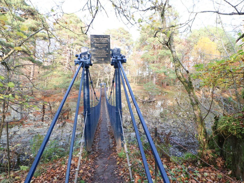 A suspension bridge over water surrounded by trees at Woody Bank