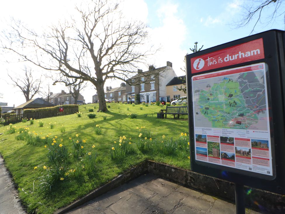 An outdoor area with a map and bench in a park at Woody Bank 