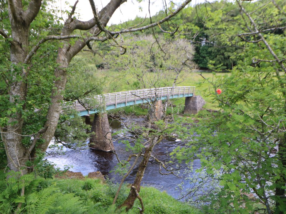 A bridge over a river surrounded by trees and grass at Woody Bank