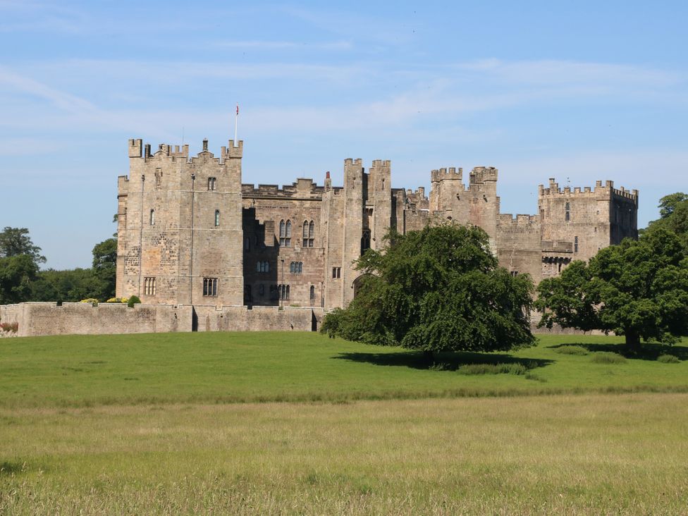 A view of a castle with trees and grass in the foreground at Woody Bank