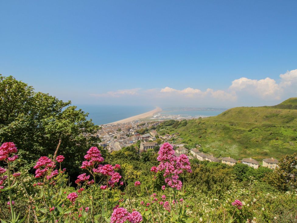 A view of the ocean and houses from a hill with flowers at 57 High Street in Portland