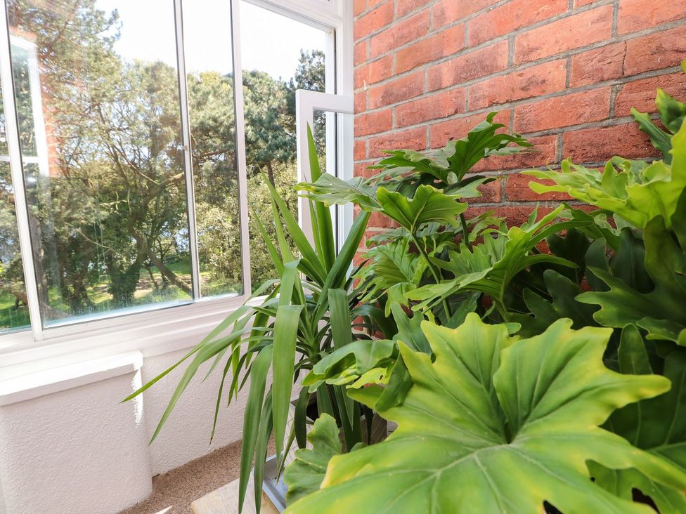 A conservatory with plants and window at The Pines in Bournemouth