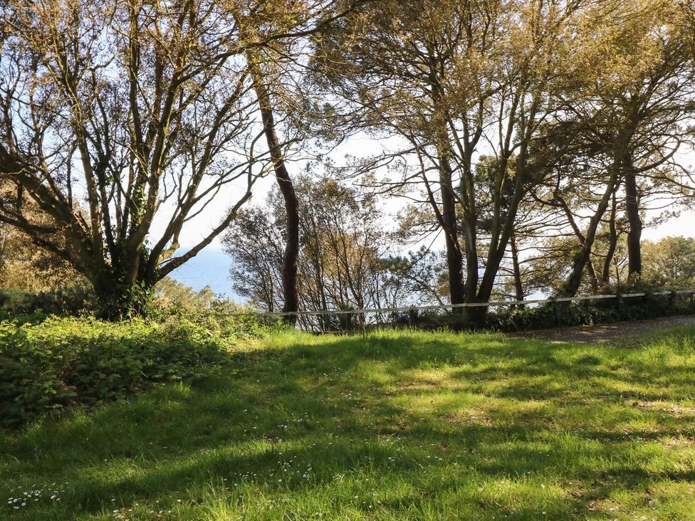 A landscape with trees and grass overlooking the ocean at The Pines in Bournemouth