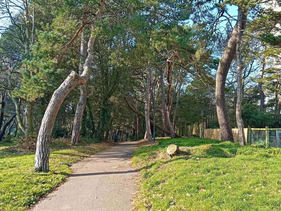 A path surrounded by trees with a fence at The Pines in Bournemouth