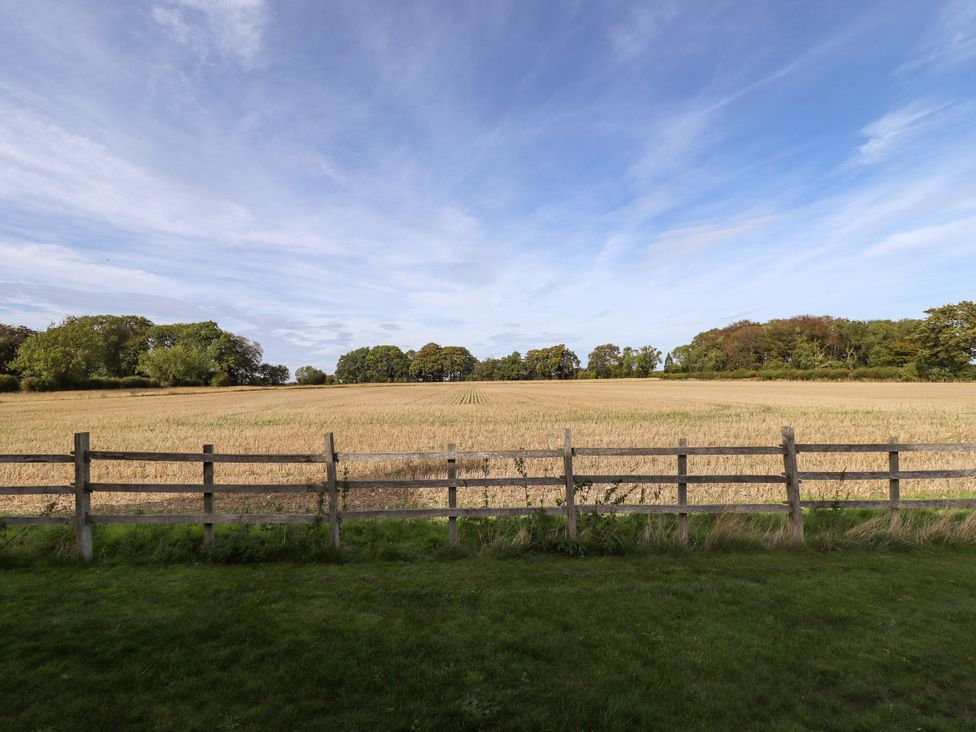A field with a fence and trees at Wold View near Caistor