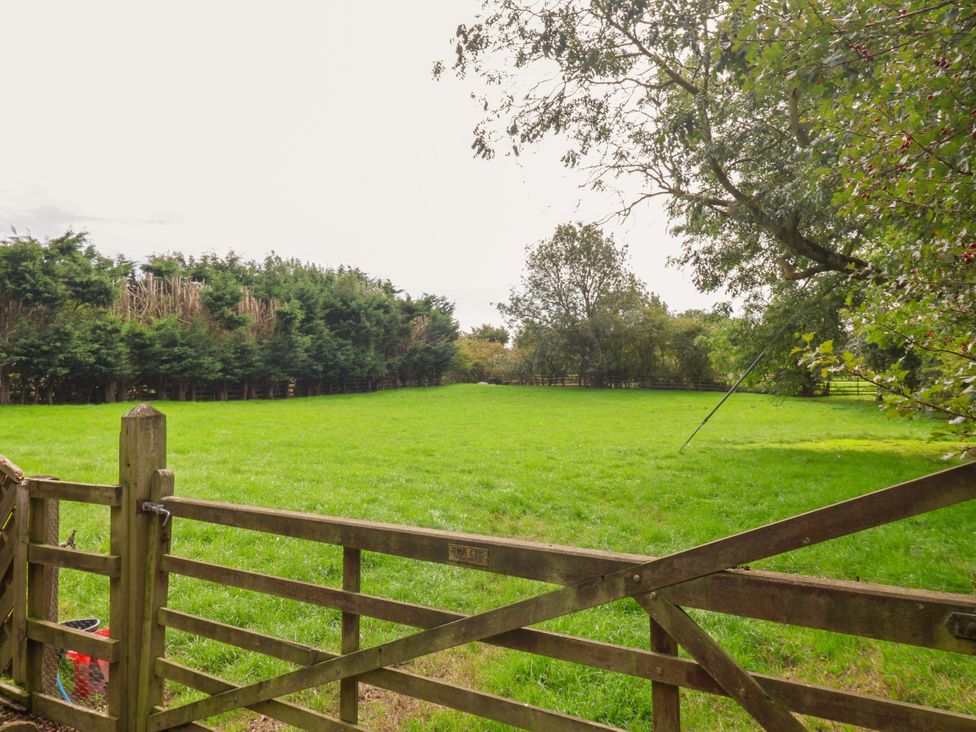 A field with trees and a gate at Millstone Cottage Leven Near Beverley