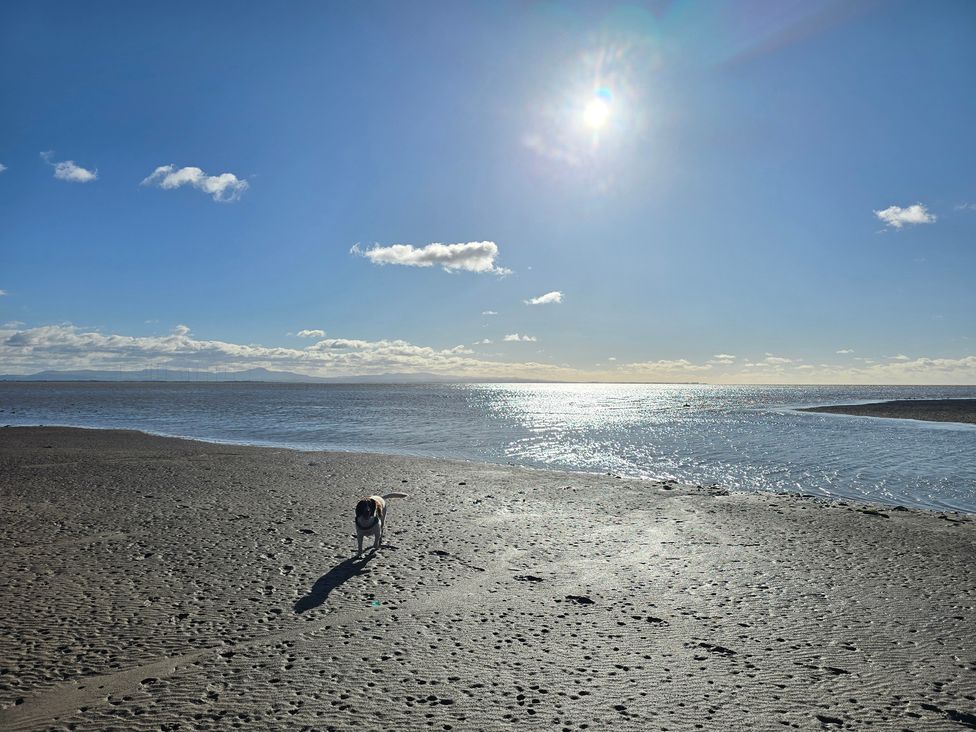 A beach with a dog walking along the shoreline at Sandy Toes in Powfoot, Annan