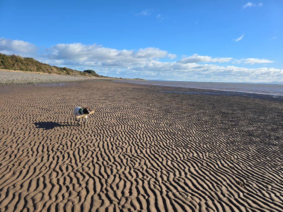 A dog on a sandy beach with water and clouds at Sandy Toes in Powfoot, Annan