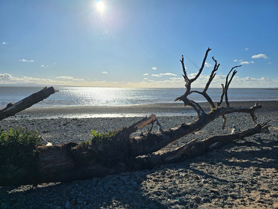 A beach with a tree trunk and water at Sandy Toes in Powfoot, Annan