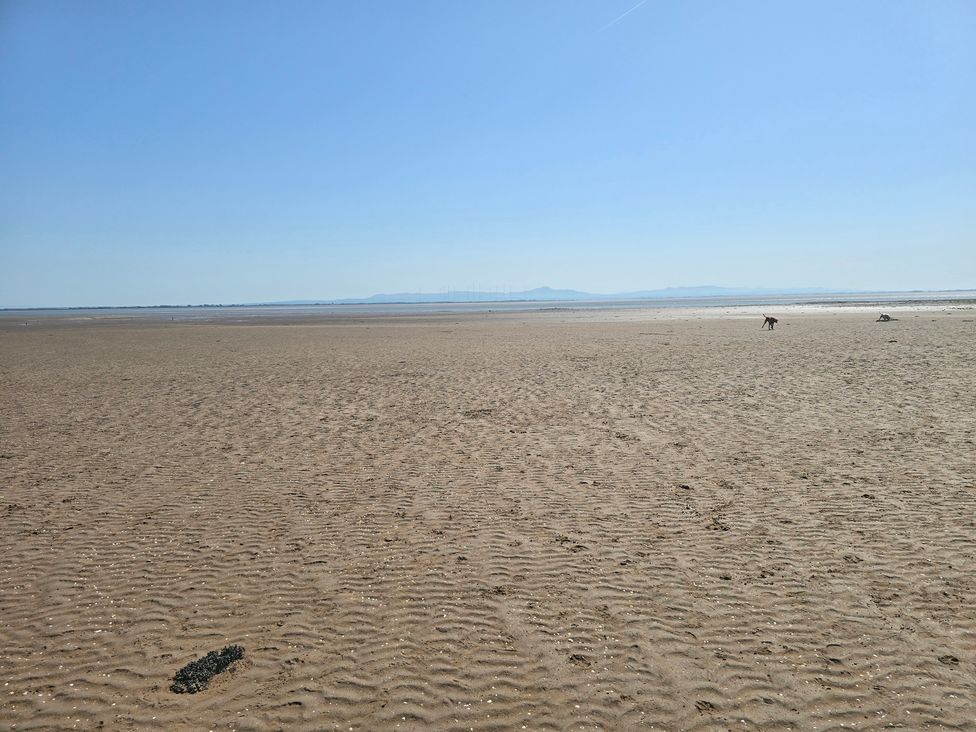 A sandy beach with a dog walking near the water at Sandy Toes in Powfoot, Annan