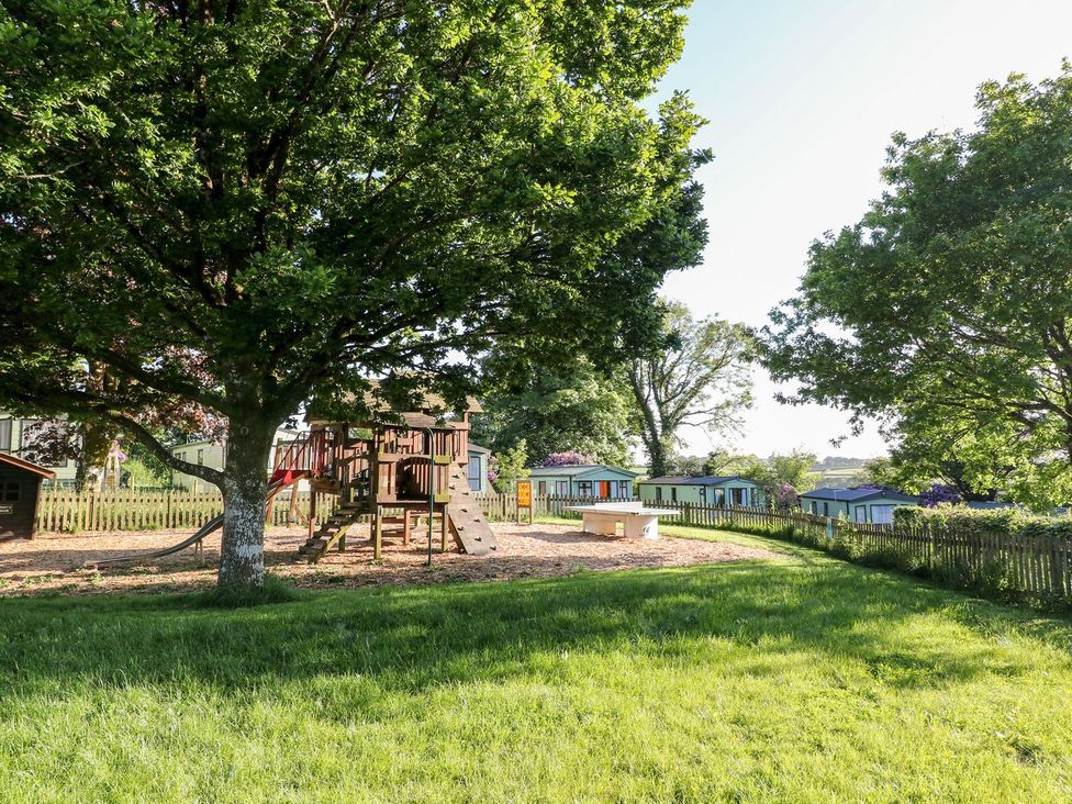 A playground with a tree and grass area at Great Mis Tour in Tavistock