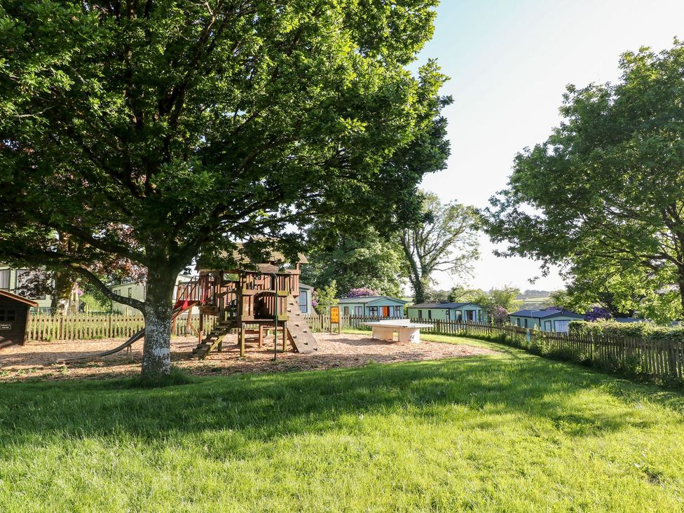 A playground with a tree and slide in an outdoor area at Roos Tor in Tavistock