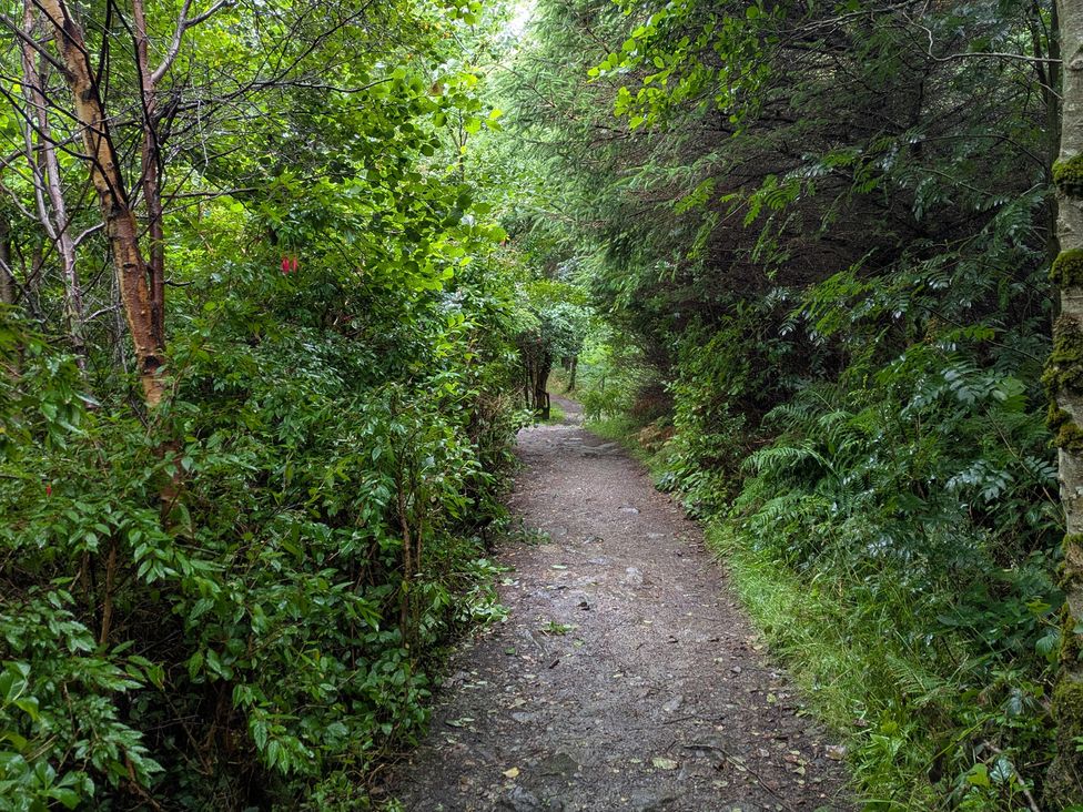 A pathway surrounded by trees and bushes at Bothan Beag, Daliburgh, Isle Of South Uist
