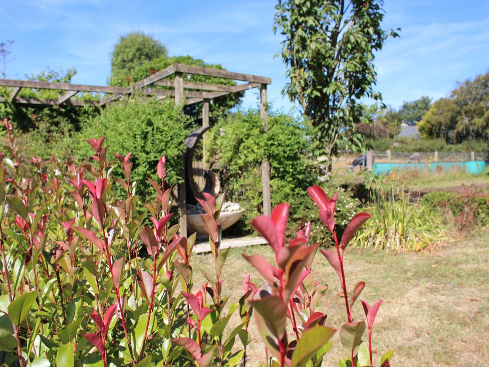 A garden with plants and a wooden structure at The Hyde Clubworthy near Launceston