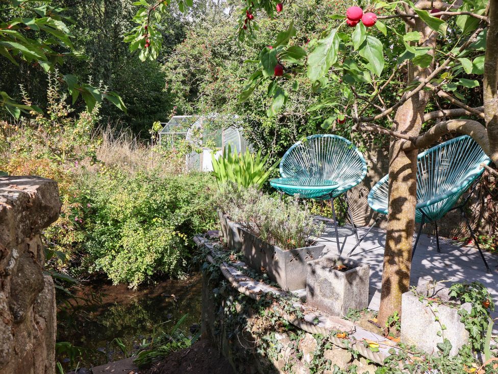 A garden with plants and a greenhouse at Bowdery in Harrogate