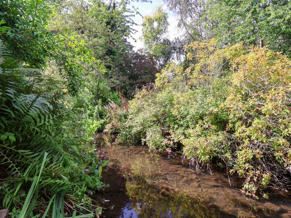 A stream surrounded by greenery at Bowdery in Harrogate