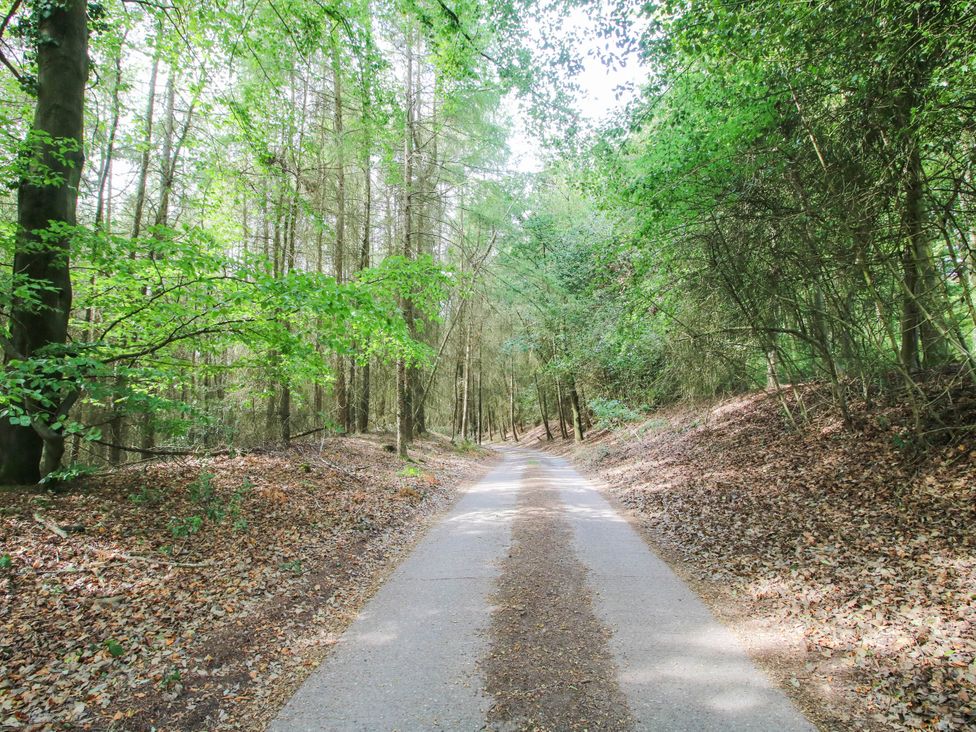A path surrounded by trees in a wooded area at The Hayloft in Birmingham
