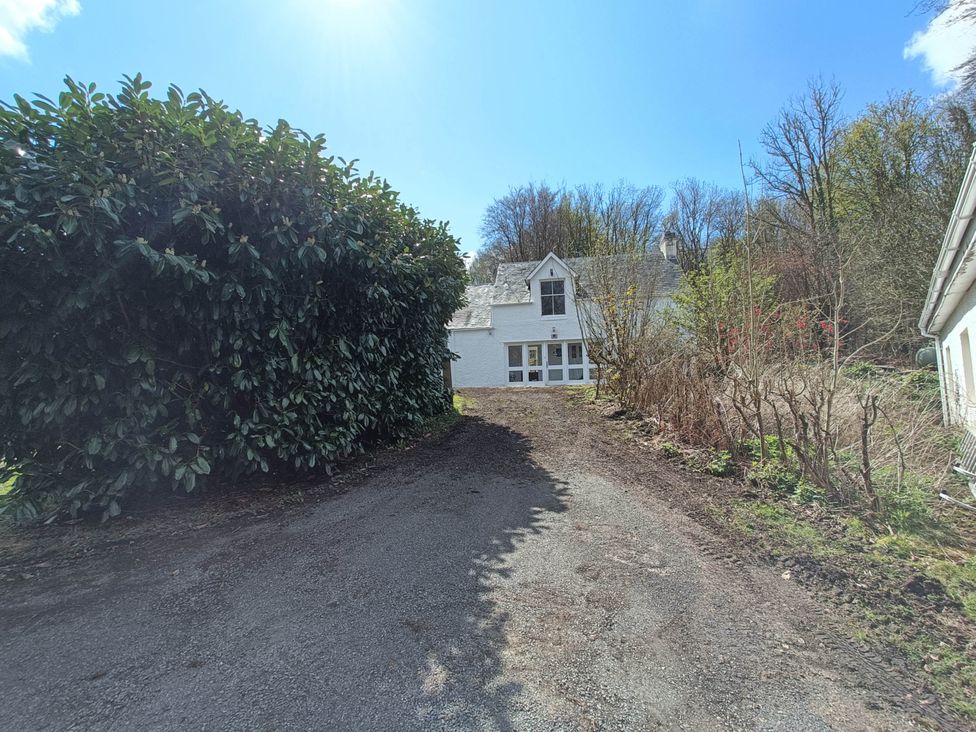 A house with a bush and trees at RnB Rural n Beautiful Near Barrhill