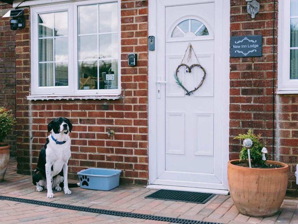 A dog sitting by the door at New Inn Lodge in Dereham
