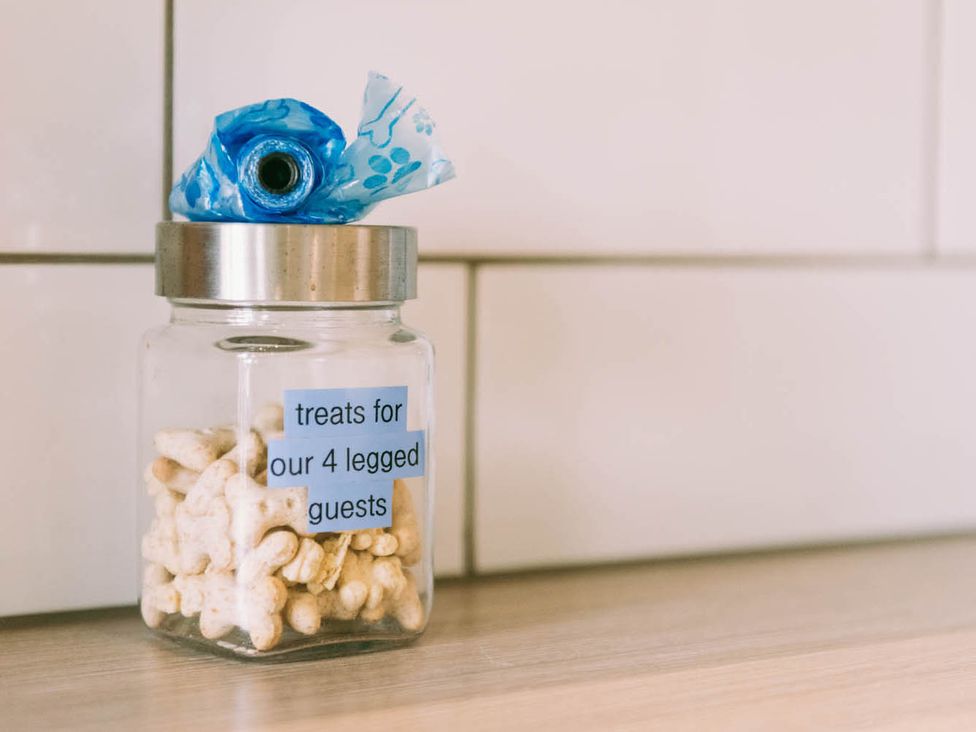 A jar with treats for pets at 1 Bed Sleeps 3 Free Parking Pets Allowed Dereham