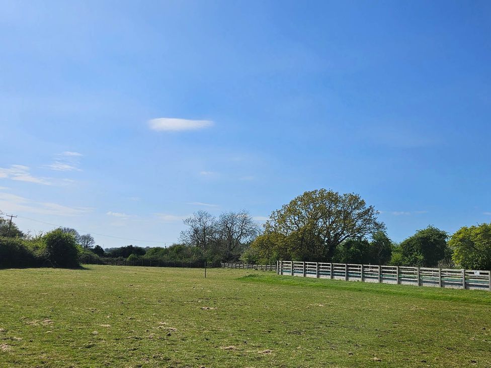 An open field with trees and a fence at Lily's Cottage Suffolk Sleeps 2 with Pets Mendlesham Green near Stowmarket