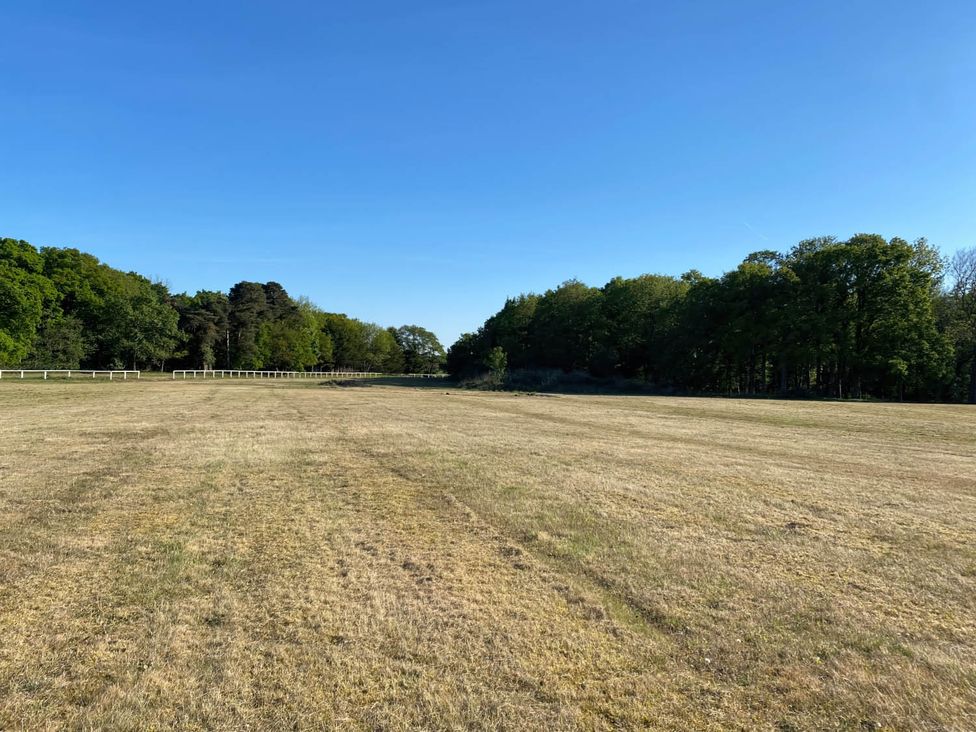 A field with trees and a clear sky at Paddock View Snetterton Norfolk Near East Harling