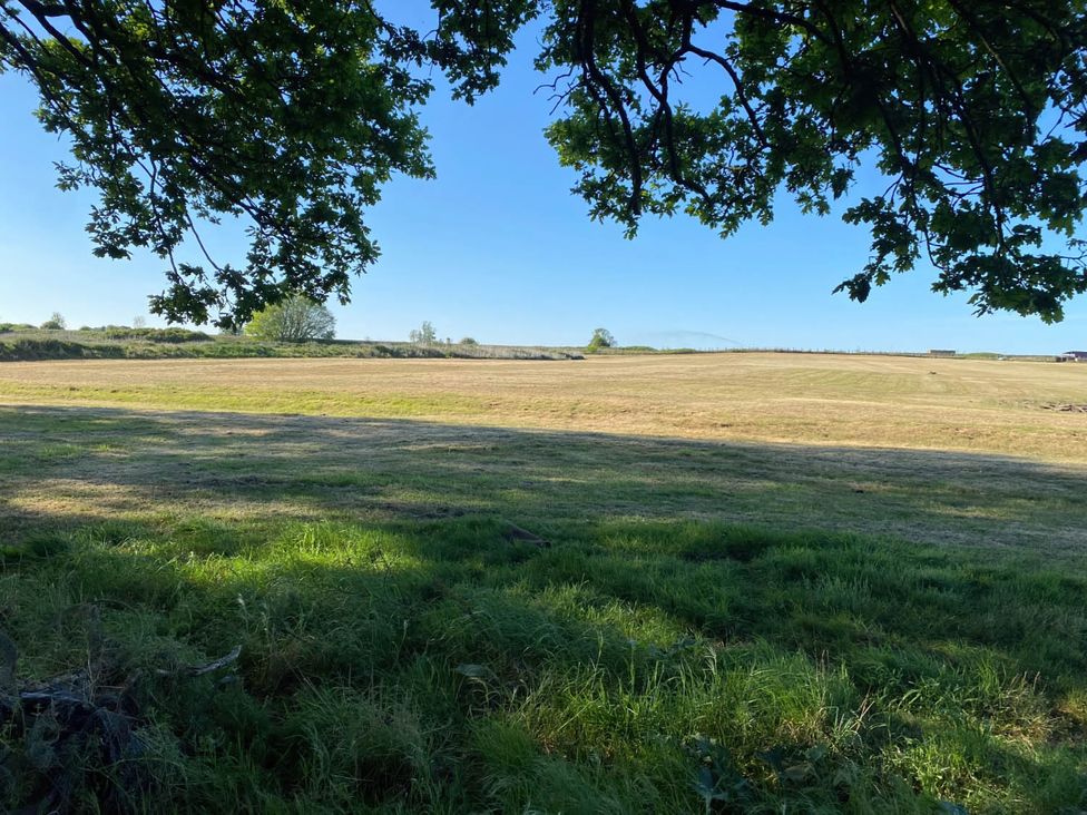 A field with grass and a tree at Paddock View Snetterton Norfolk Near East Harling