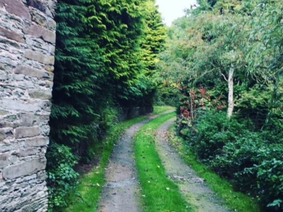 A gravel path surrounded by trees at The Hills Farmhouse 6 Bed Sleeps 11 Pets Llanfilo near Talgarth