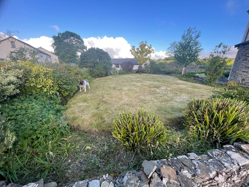 A garden with a dog and plants at the property in undisclosed location
