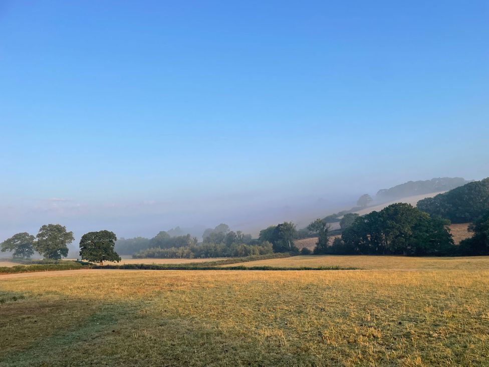 A clear view of a field with trees and distant hills under a blue sky