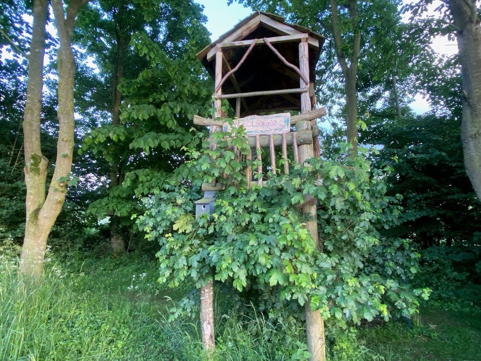 A treehouse with steps and sign in a wooded area at Pet Friendly 3Bed Barn Sleeps 7 Parking Garden Westhall near Halesworth