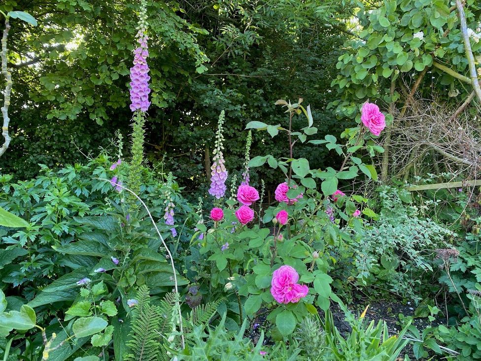 A garden with various flowers and plants at Pet Friendly 3Bed Barn Sleeps 7 Parking Garden in Westhall near Halesworth