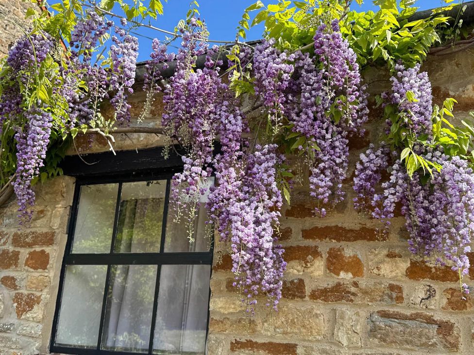 Flowers hanging over a window on a brick wall at 17th Century Farmhouse Near Silverstone Circuit Tiffield