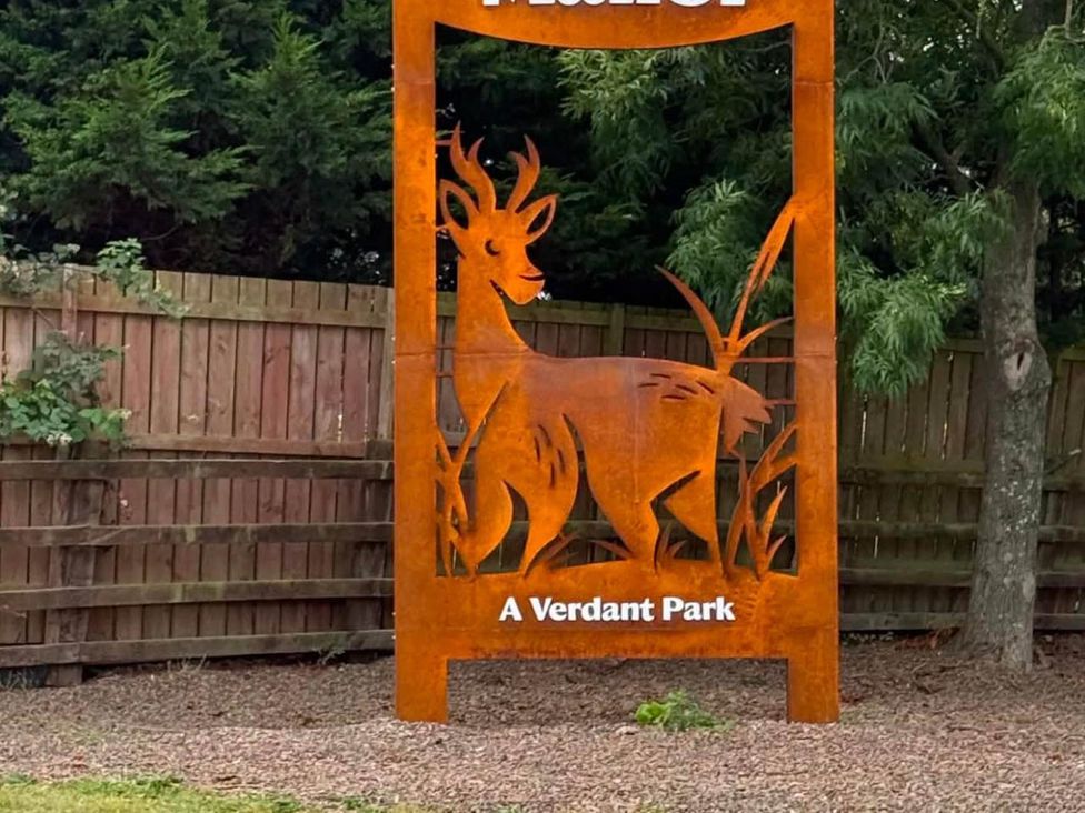 A sign of a deer in A Verdant Park