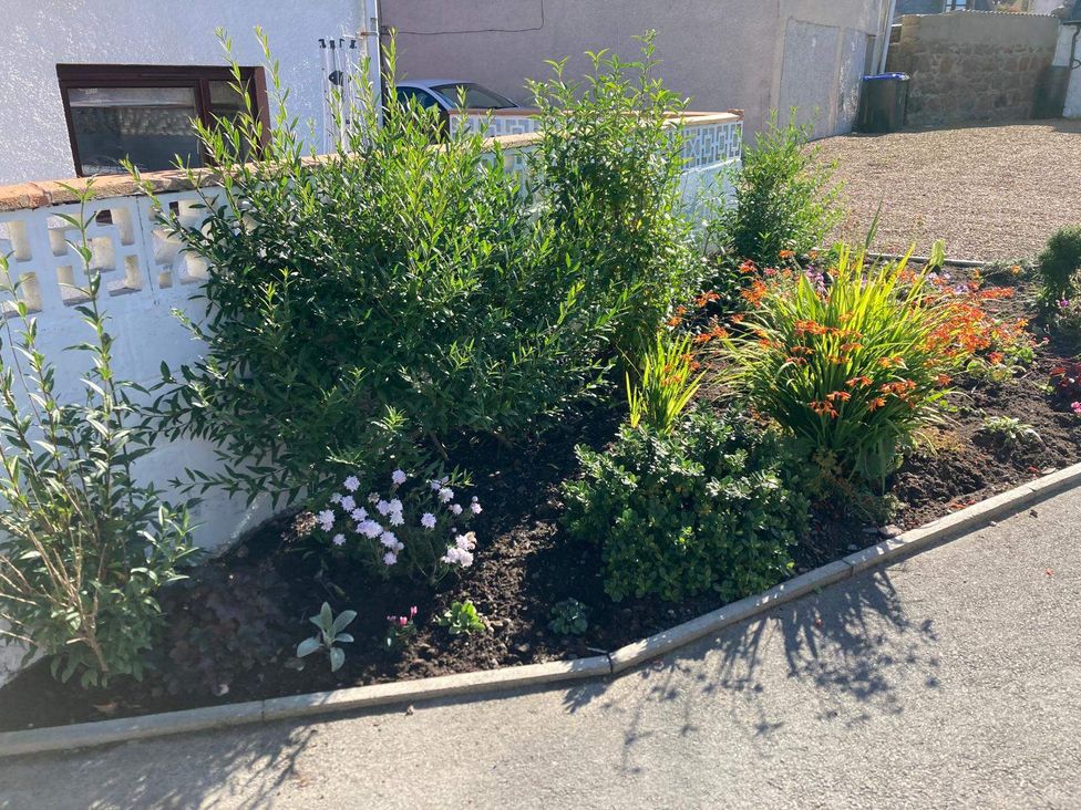 A garden with various plants and flowers at Coastal Cottage Boddam