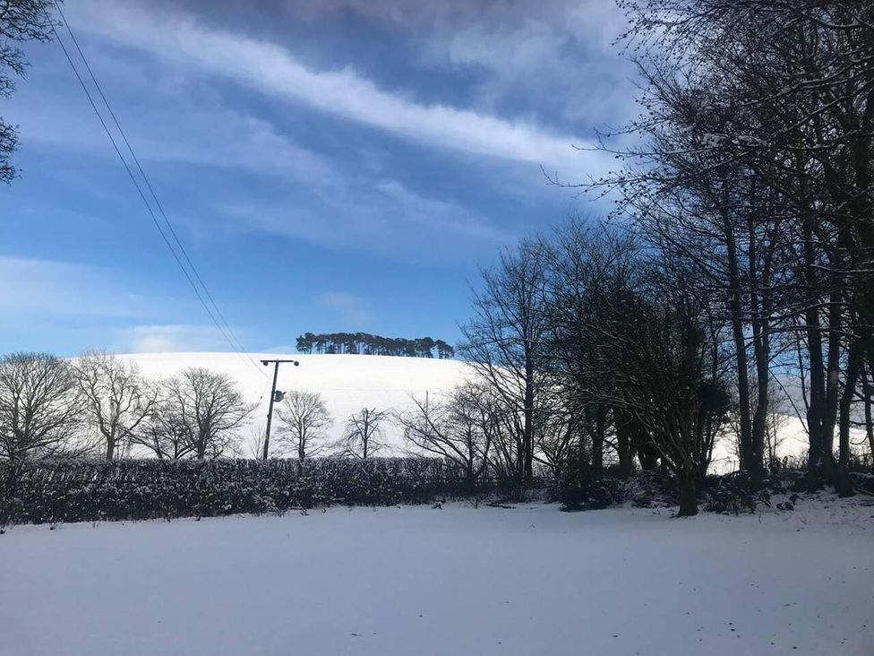A snowy landscape with trees and power lines at Luxury Duplex Sleeps 2 Hot Tub Balcony Parking Duncrievie near Milnathort