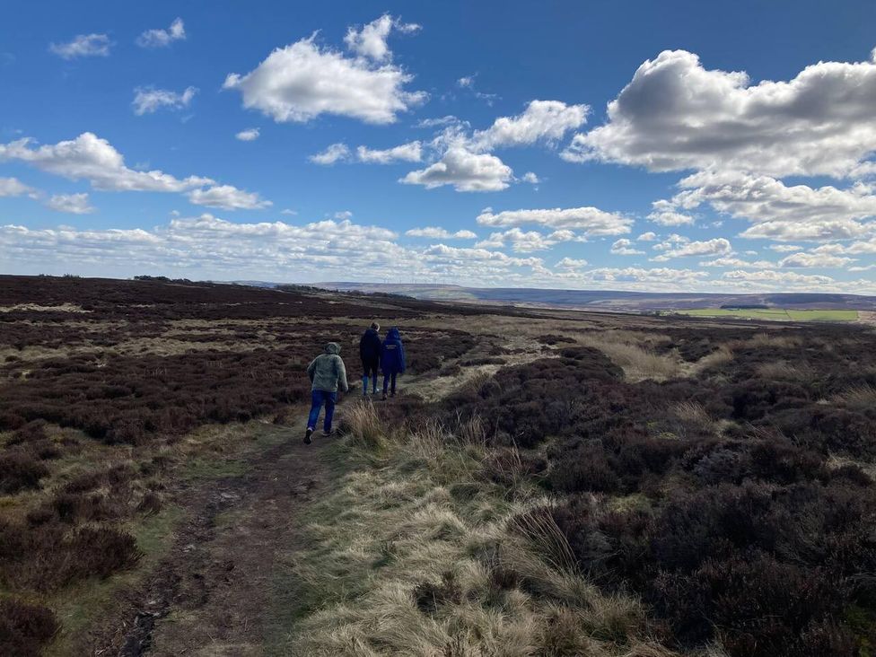 A group of people walking on a path surrounded by heather and grass in an outdoor location