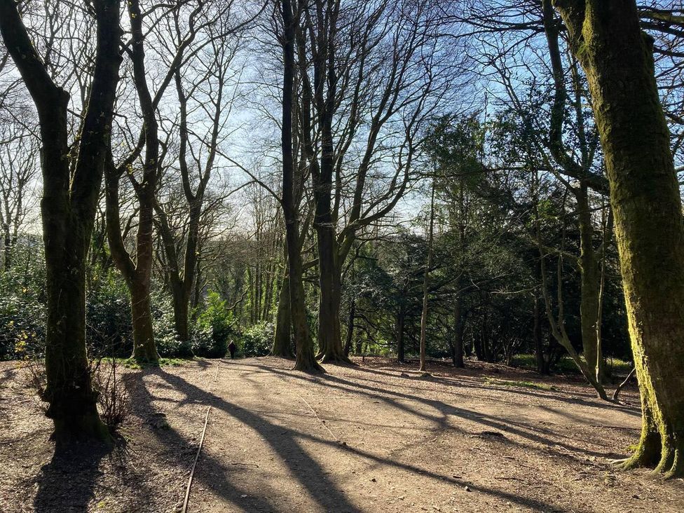 A pathway among trees at OldMill 2Bed Sleeps6 PrivateGarden OptionalHotTub in Oakworth