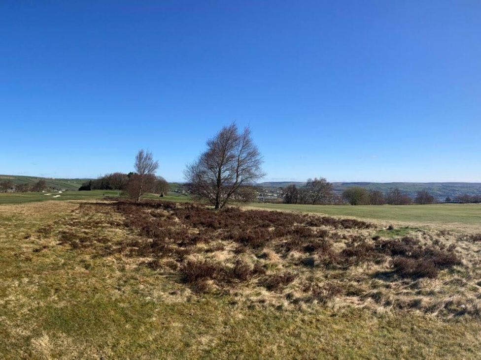 A field with grass and trees under a clear sky at OldMill 2Bed Sleeps6 PrivateGarden OptionalHotTub in Oakworth