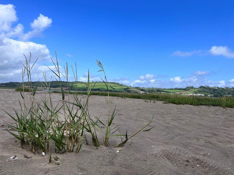 Grass on sand with hills and blue sky at Brodle Farm near Llansteffan