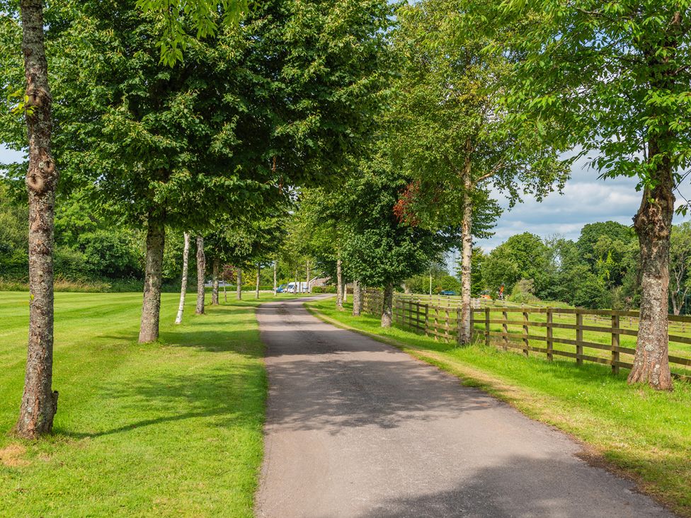 A pathway lined with trees at Paddock View Barn 1Bed Sleeps 4 with Parking, Duffryn Lloff Farm near Cowbridge