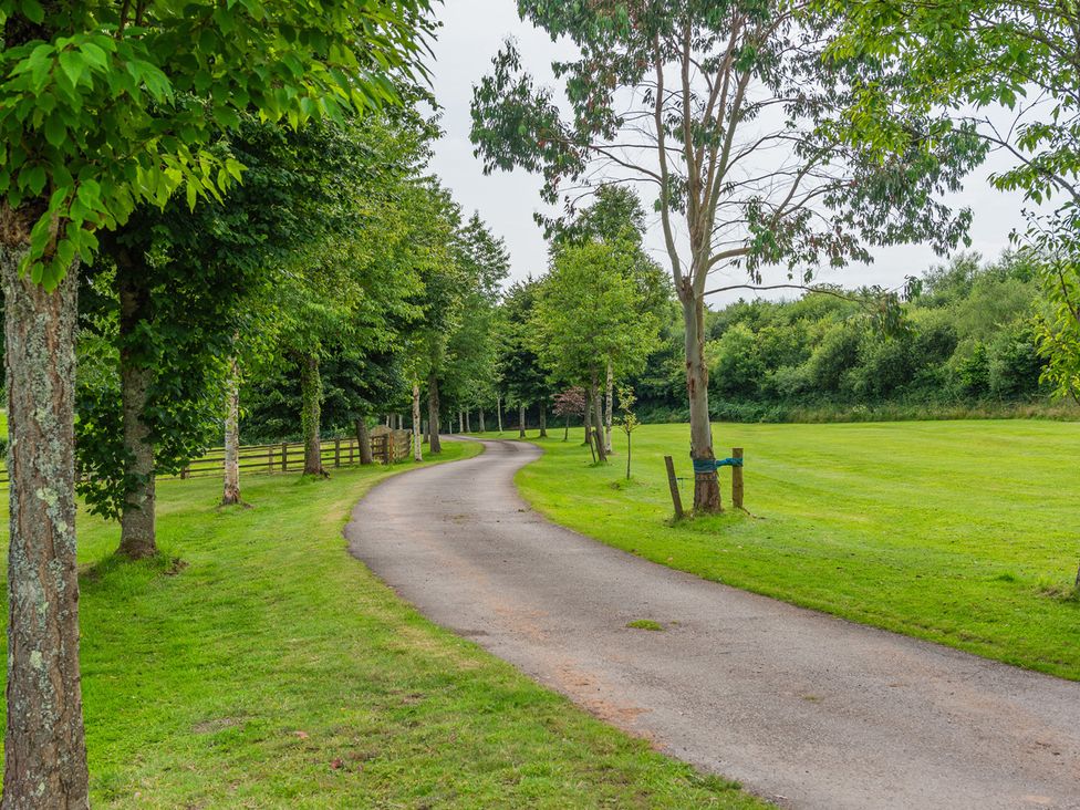 A path lined with trees and grass at Paddock View Barn 1Bed Sleeps 4 with Parking, Duffryn Lloff Farm near Cowbridge
