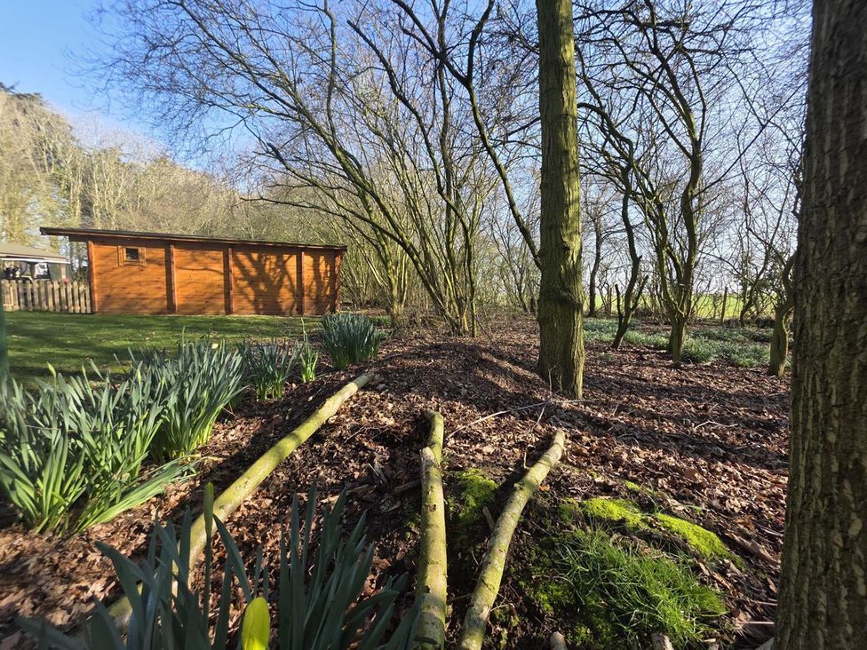 A garden with a wooden shed and trees at Woodland View Dog Friendly Nr Sutton on Sea, Thurlby near Alford