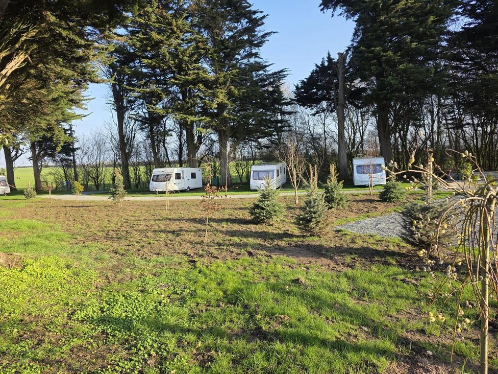 An outdoor area with caravans and trees at Woodland View Dog Friendly Nr Sutton on Sea Thurlby near Alford