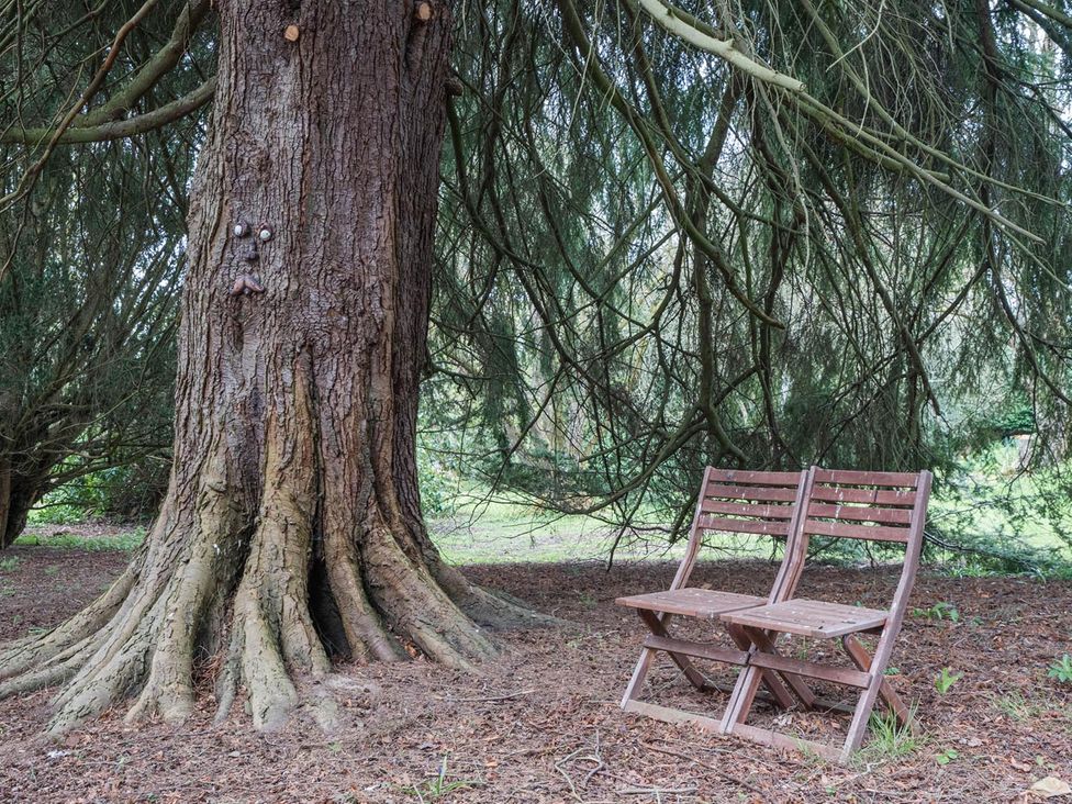 A tree with wooden chairs at Punch Tree Cabins Outdoor Bath Wood Burner Carluke near Larkhall